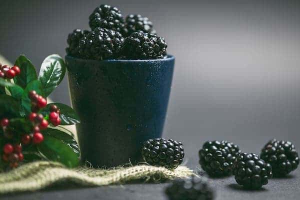 blackberries